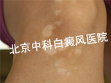 ԰Ҫλ